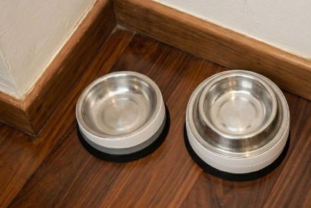 Suporte modular para comedouro de pet