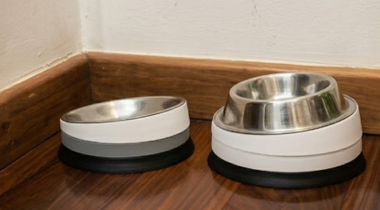 Suporte modular para comedouro de pet